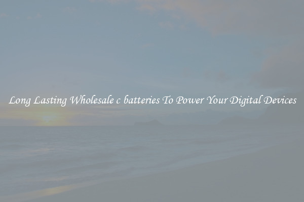 Long Lasting Wholesale c batteries To Power Your Digital Devices