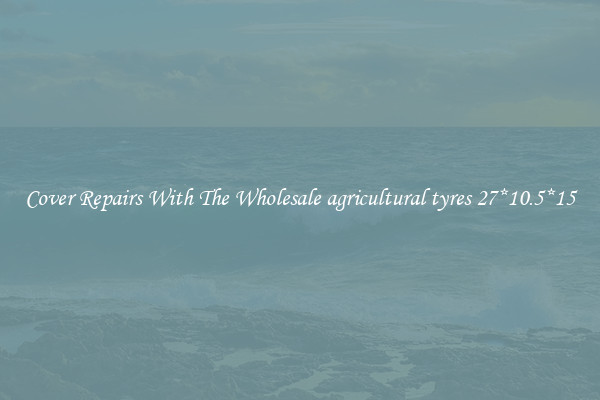  Cover Repairs With The Wholesale agricultural tyres 27*10.5*15 