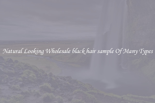 Natural Looking Wholesale black hair sample Of Many Types