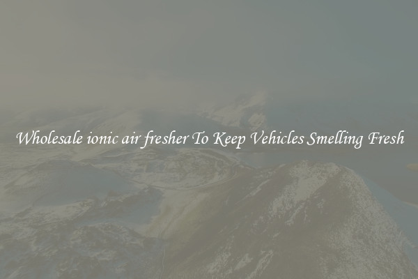 Wholesale ionic air fresher To Keep Vehicles Smelling Fresh