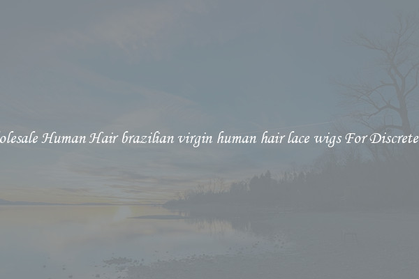 Wholesale Human Hair brazilian virgin human hair lace wigs For Discreteness