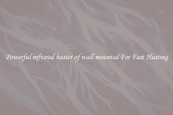 Powerful infrared heater of wall mounted For Fast Heating