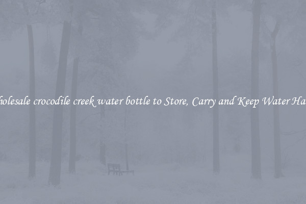 Wholesale crocodile creek water bottle to Store, Carry and Keep Water Handy