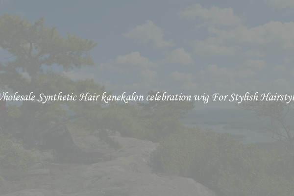 Wholesale Synthetic Hair kanekalon celebration wig For Stylish Hairstyles