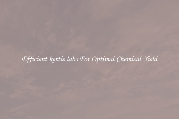 Efficient kettle labs For Optimal Chemical Yield