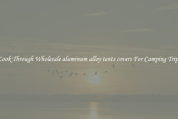 Look Through Wholesale aluminum alloy tents covers For Camping Trips