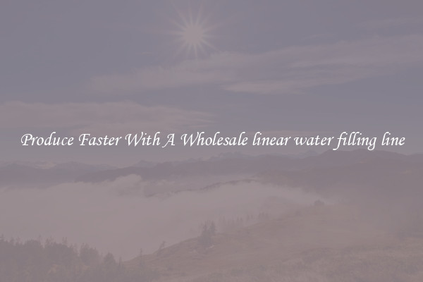 Produce Faster With A Wholesale linear water filling line