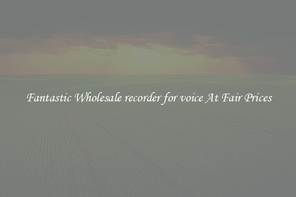 Fantastic Wholesale recorder for voice At Fair Prices
