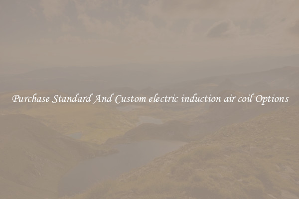 Purchase Standard And Custom electric induction air coil Options