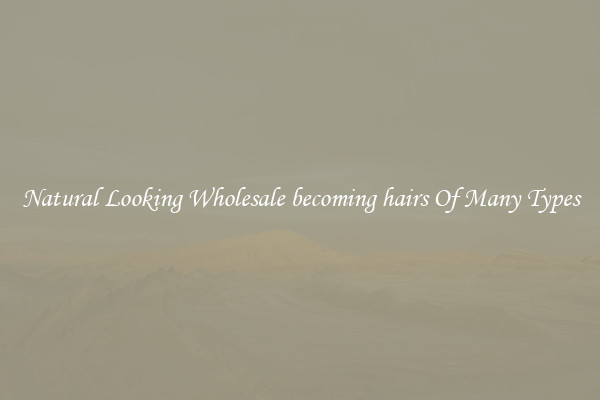 Natural Looking Wholesale becoming hairs Of Many Types