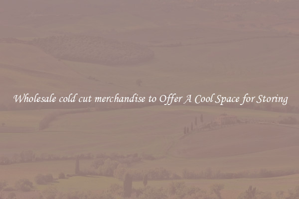 Wholesale cold cut merchandise to Offer A Cool Space for Storing