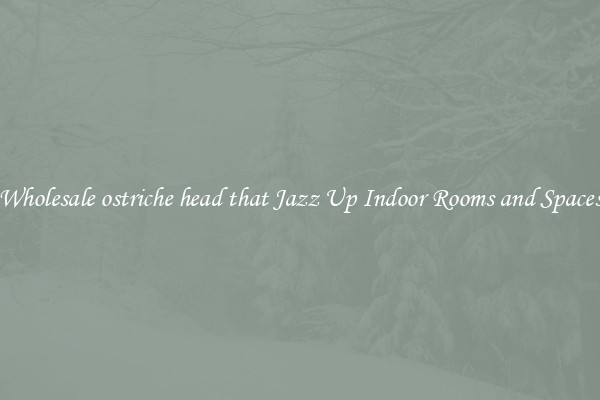 Wholesale ostriche head that Jazz Up Indoor Rooms and Spaces
