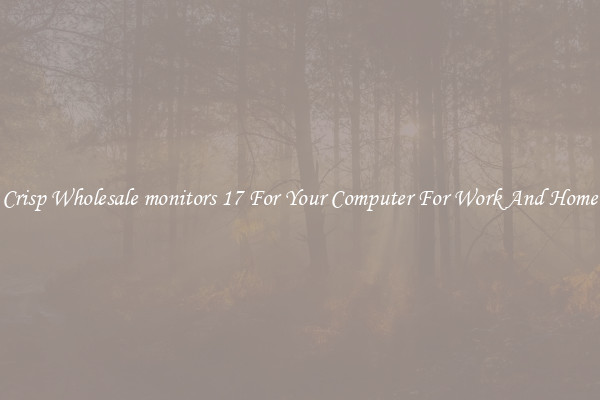 Crisp Wholesale monitors 17 For Your Computer For Work And Home