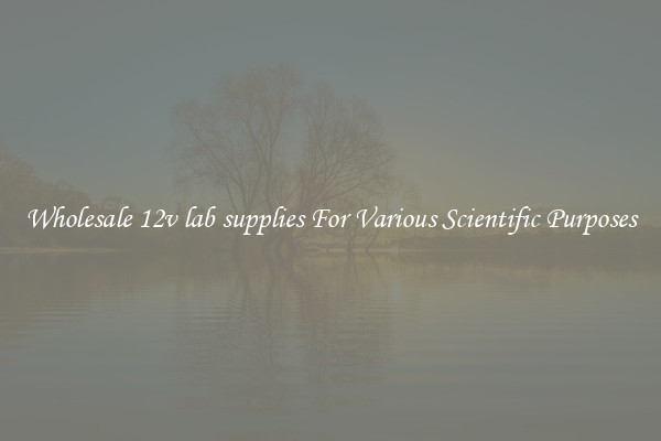 Wholesale 12v lab supplies For Various Scientific Purposes