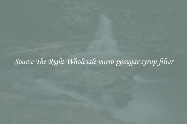 Source The Right Wholesale micro ppsugar syrup filter