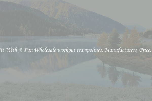 Keep Fit With A Fun Wholesale workout trampolines, Manufacturers, Price, Cheap 