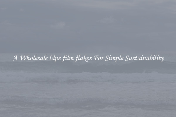  A Wholesale ldpe film flakes For Simple Sustainability 