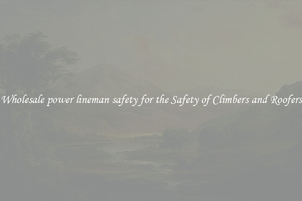 Wholesale power lineman safety for the Safety of Climbers and Roofers